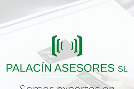 Palacín Asesores